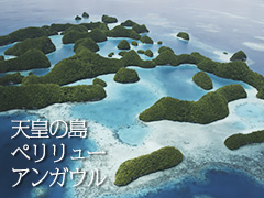 この島で、散ることにした。〜天皇の島 ペリリューとアンガウル〜（ドキュメンタリー）