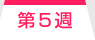 第5週